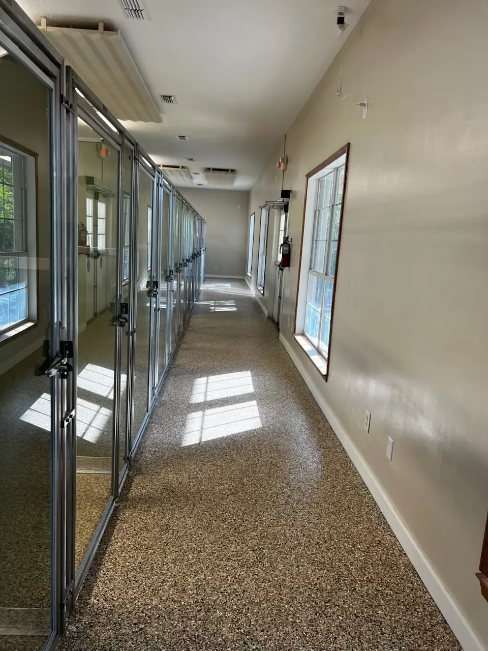 Private dog suites with comfortable bedding