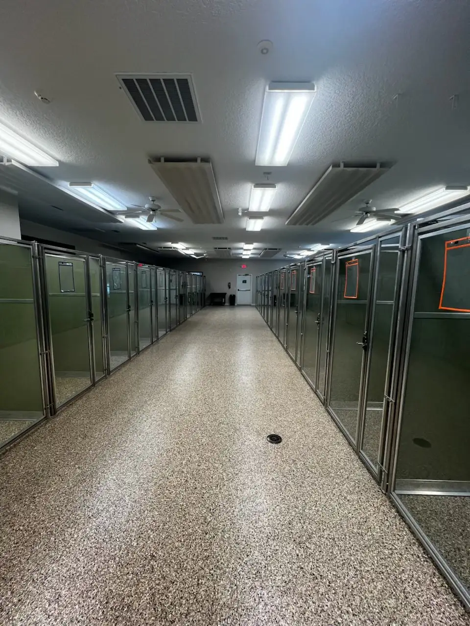 Clean indoor kennel area at Woodlands Pet Retreat