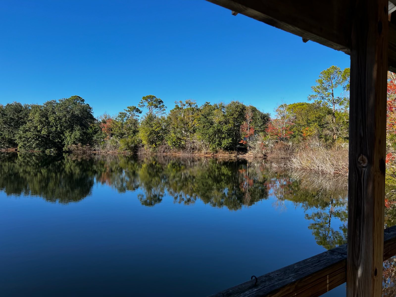 Peaceful waterfront view from the property
